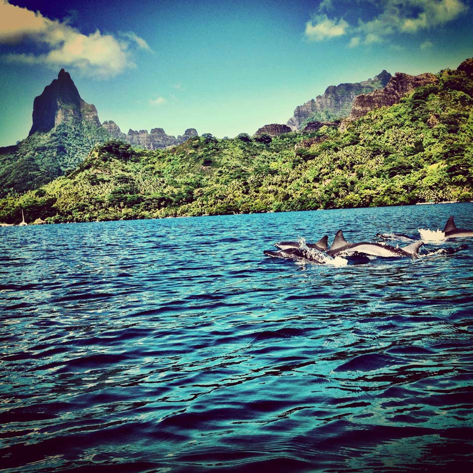 Opunohu Bay in Moorea