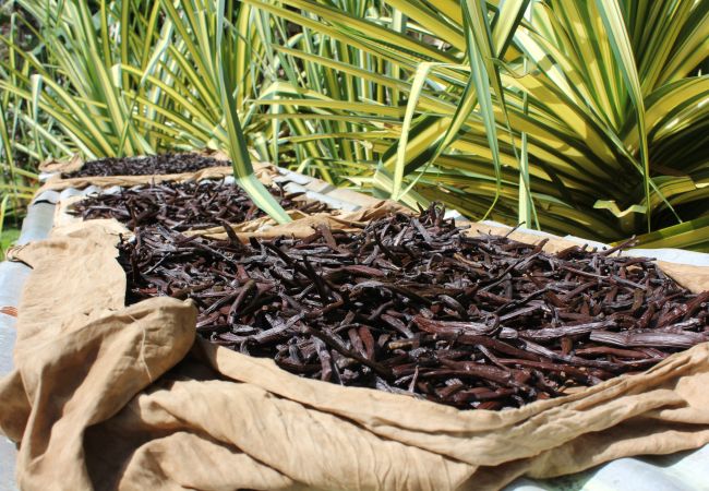Bateau à Vaitape - Catamaran Croisière 3 nuits à BORA BORA Bateau à Vaitape - Catamaran Croisière 3 nuits à BORA BORA