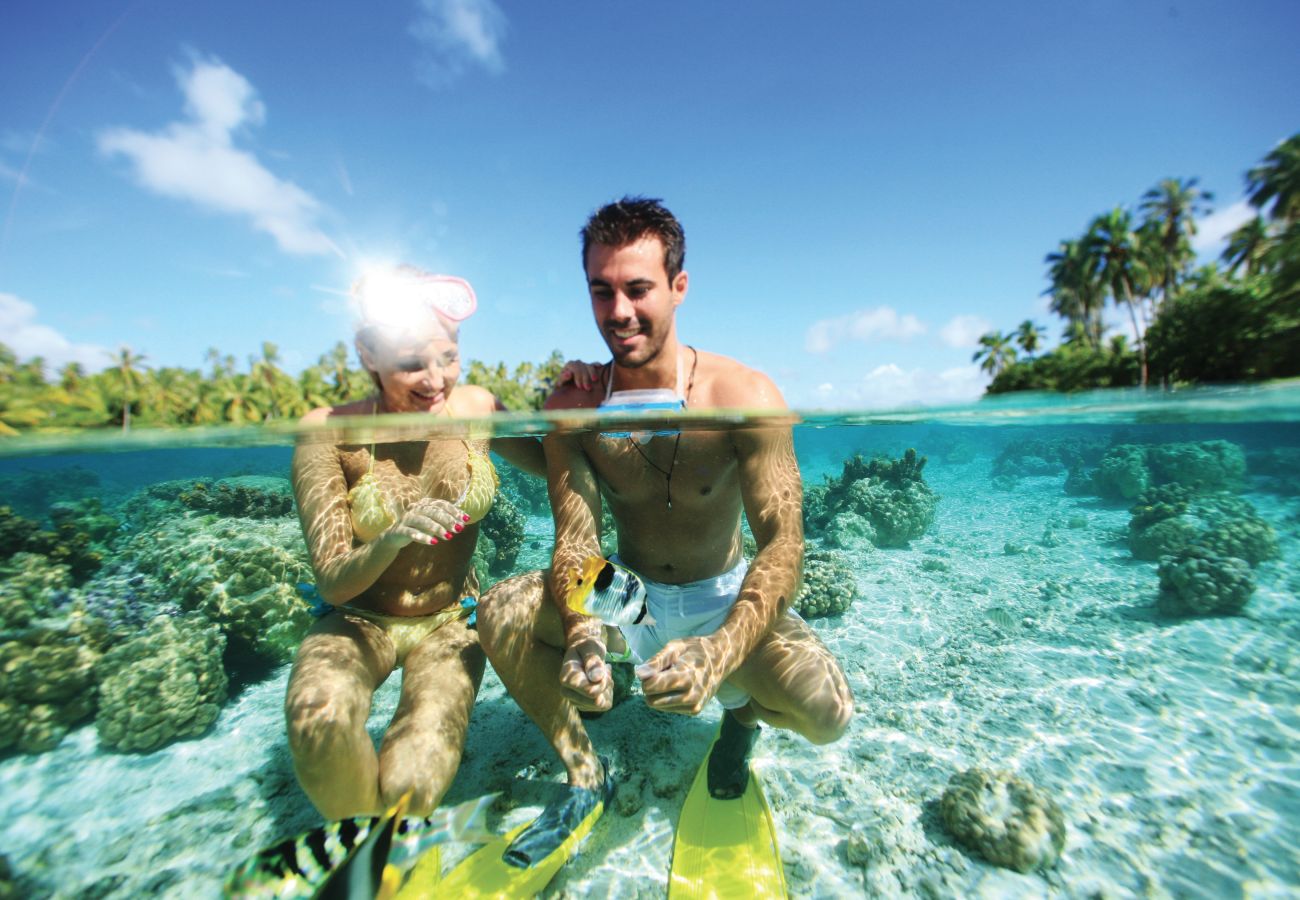 Bateau à Vaitape - Catamaran Croisière 3 nuits à BORA BORA Bateau à Vaitape - Catamaran Croisière 3 nuits à BORA BORA